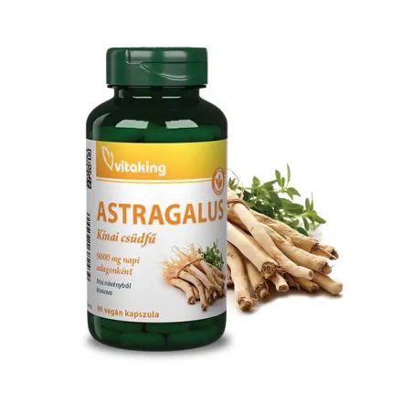 VITAKING ASTRAGALUS KIVONAT 300mg 90kapszula